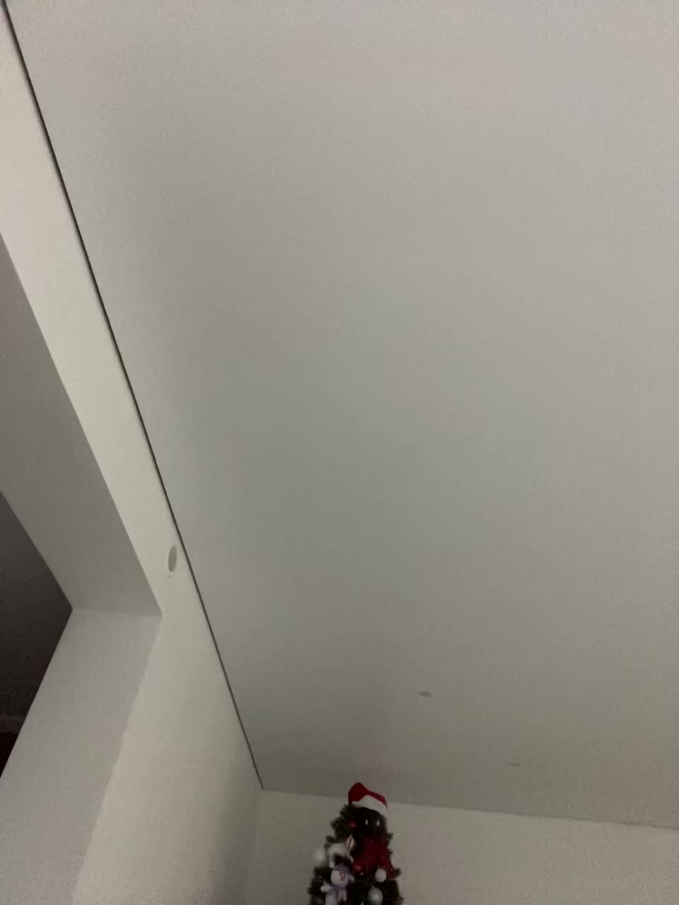 Potifays Приват Записи 2026-01-20