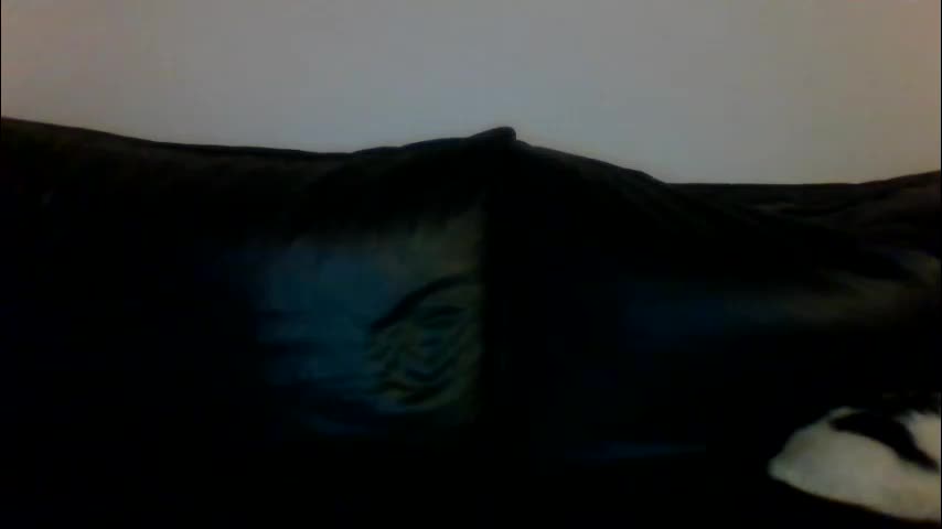 milagaborxx Приват Записи 2026-01-21