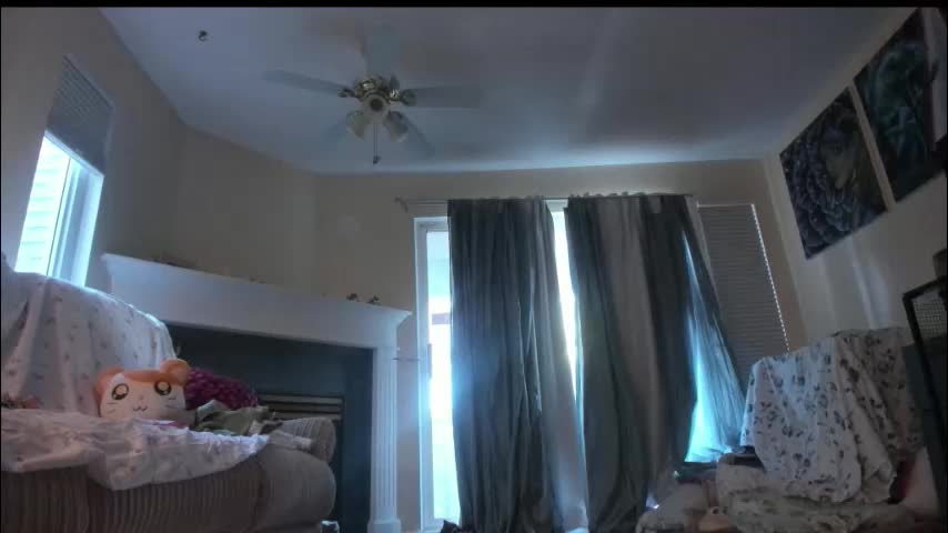 alizezaide Приват Записи 2026-01-21