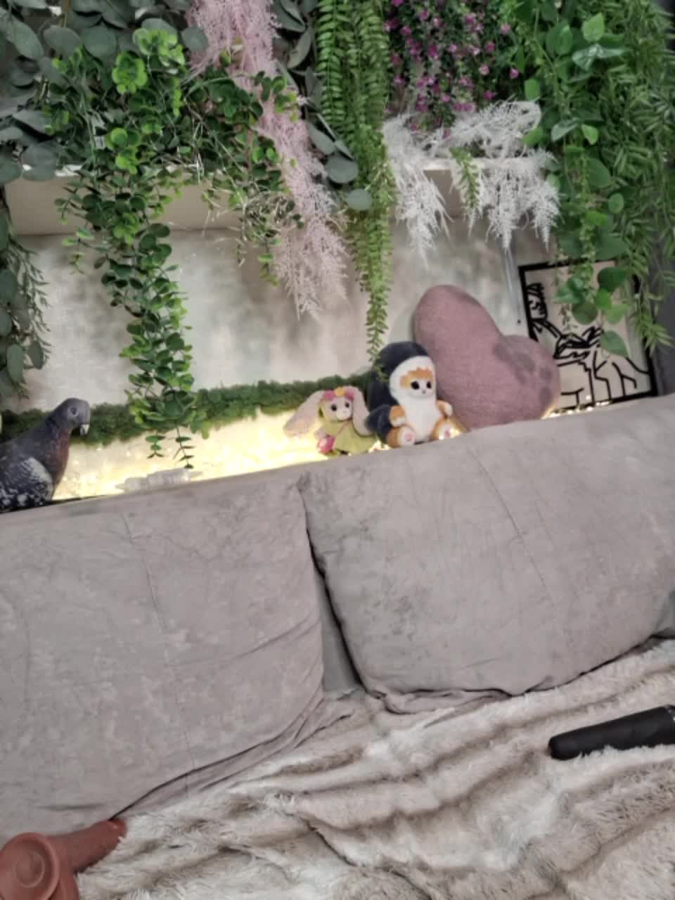 -scyrim- Приват Записи 2026-01-21