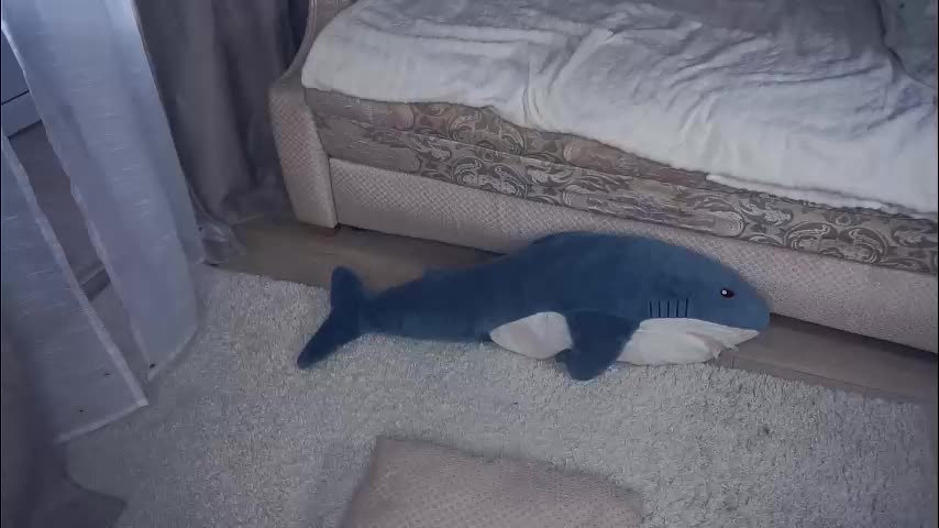 meghanantell Приват Записи 2026-01-21