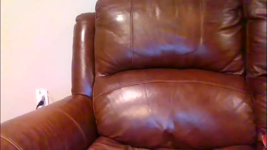 alliebearx Приват Записи 2026-01-21