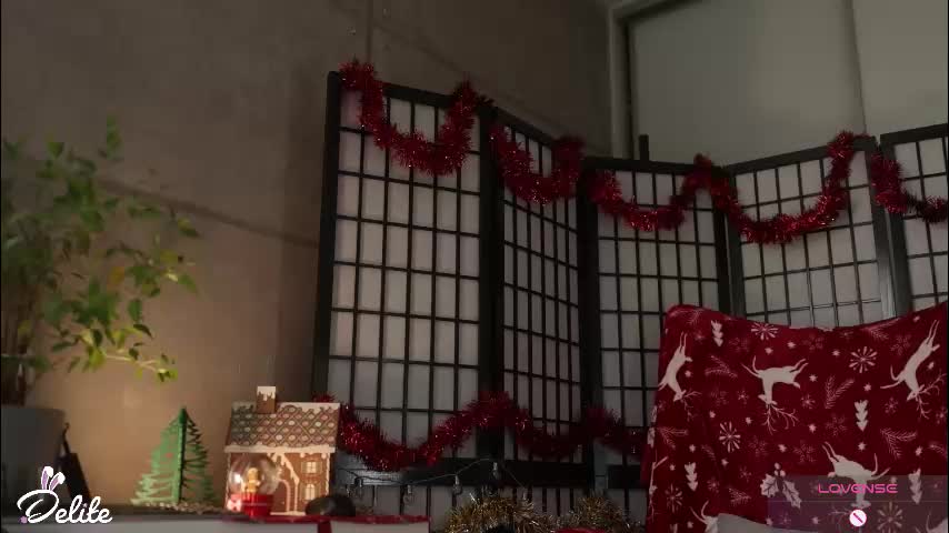 delitevip Приват Записи 2026-01-22