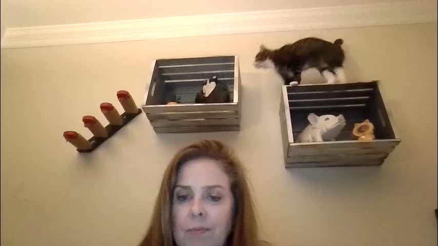 iampoppyy Приват Записи 2026-01-22