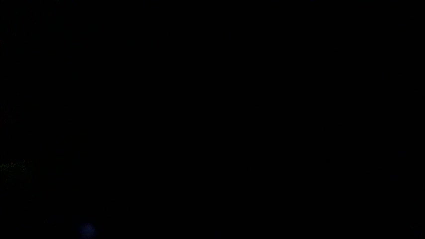 shyredstar Приват Записи 2026-01-22