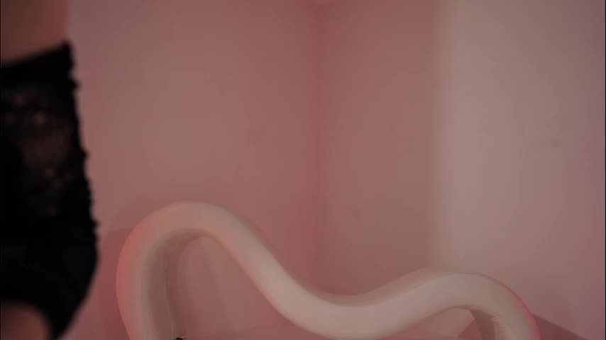 _meganmeow_ Приват Записи 2026-01-23