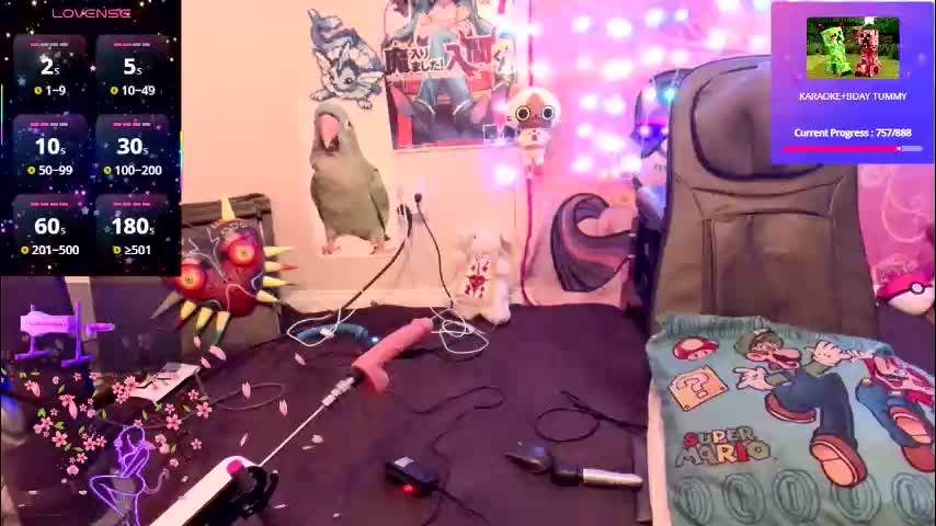 babyzelda Приват Записи 2026-01-23