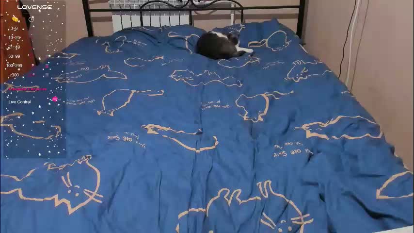 eva_zero Приват Записи 2026-01-22