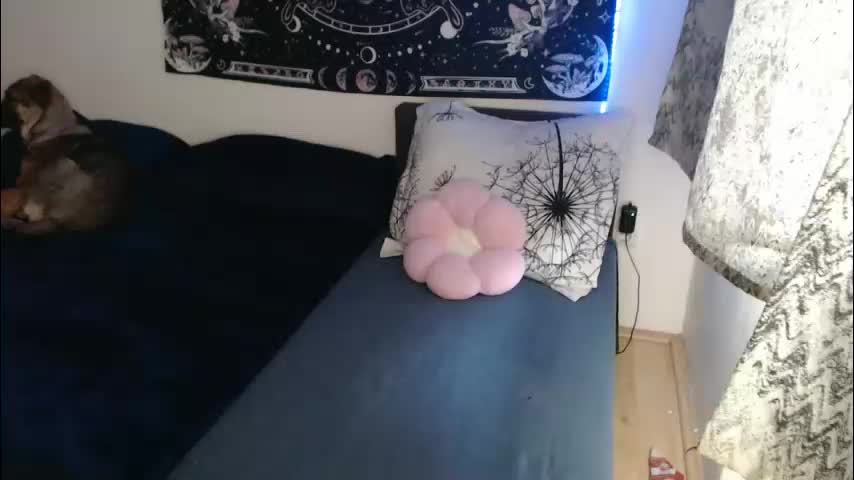 aliens4twenty Приват Записи 2026-01-24