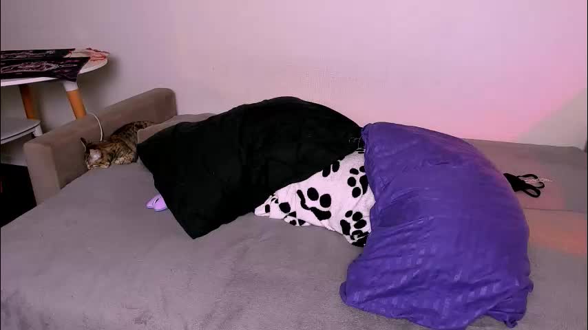 ladytrep Приват Записи 2026-01-24