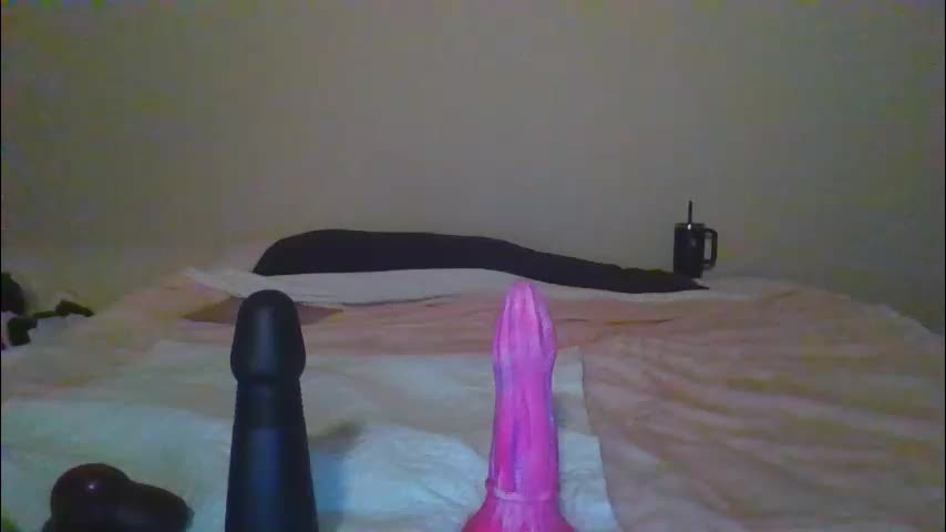 sdbeachfreaks Приват Записи 2026-01-24