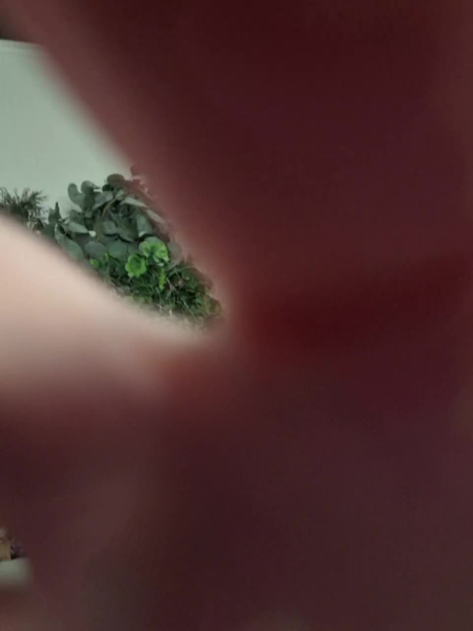 -scyrim- Приват Записи 2026-01-24