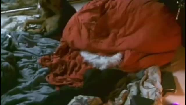 annunakispawn Приват Записи 2026-01-24