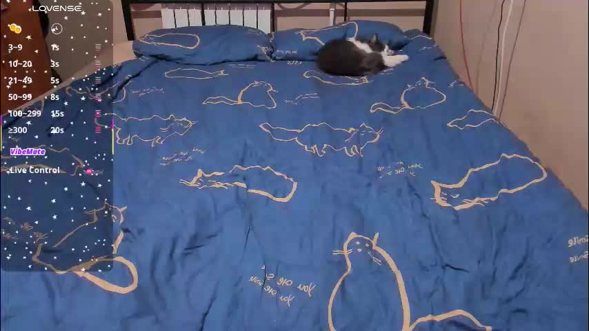 eva_zero Приват Записи 2026-01-24