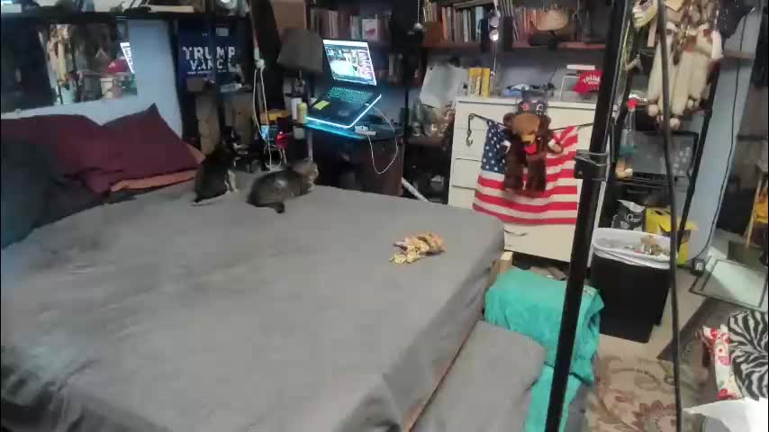 pink_black Приват Записи 2026-01-24