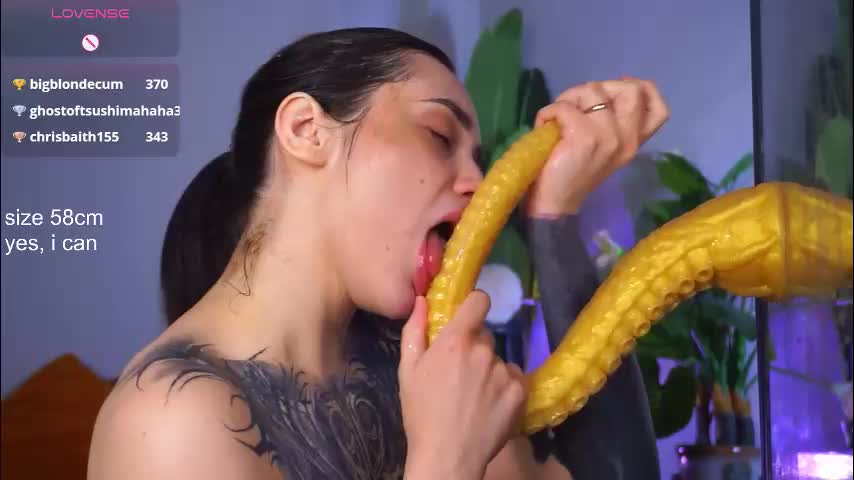 evarabbit Приват Записи 2026-01-25