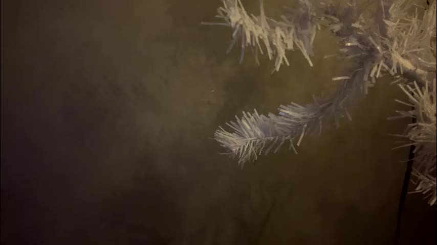 dunny_sexysusie69 Приват Записи 2026-01-25