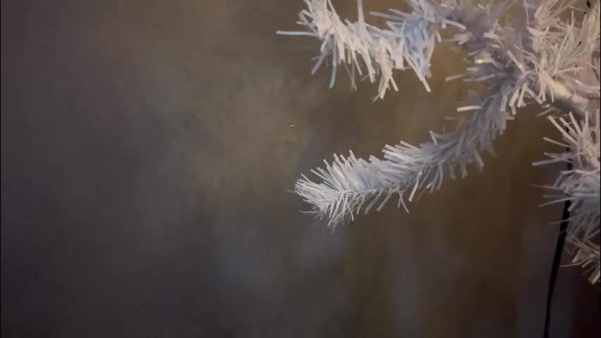 dunny_sexysusie69 Приват Записи 2026-01-25