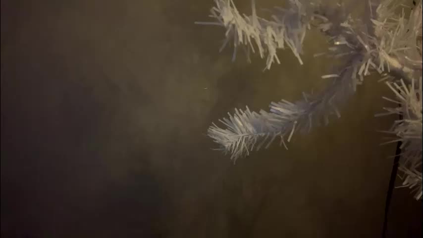 dunny_sexysusie69 Приват Записи 2026-01-25