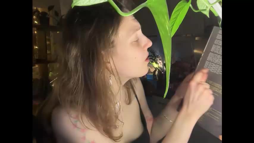 holydori Приват Записи 2026-01-26