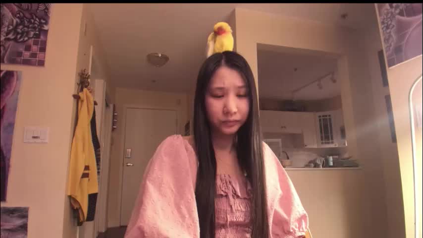 alizezaide Приват Записи 2026-01-26