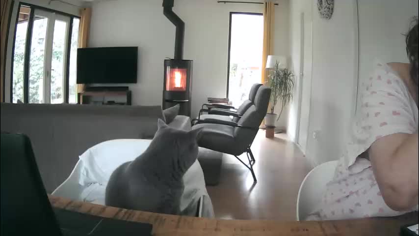 woodwurm Приват Записи 2026-01-26