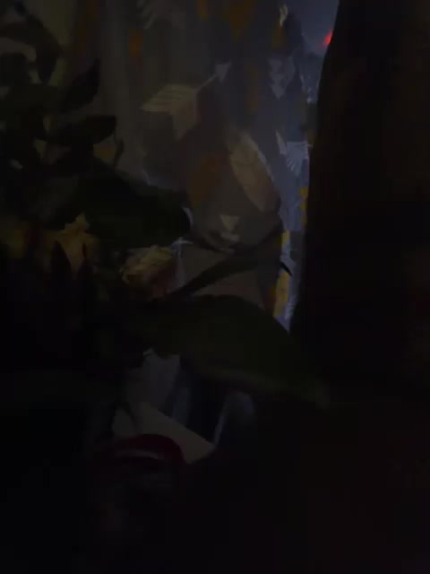 Skitovteam Приват Записи 2026-01-27