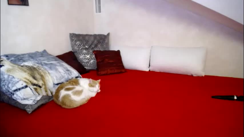 kathylovexxx Приват Записи 2026-01-27