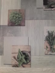 Anesteishen Приват Записи 2026-01-27