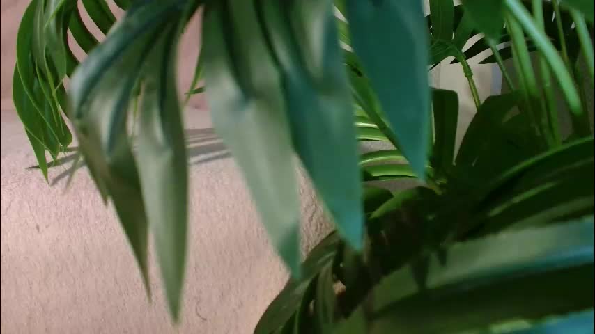 imcarrieberry Приват Записи 2026-01-28