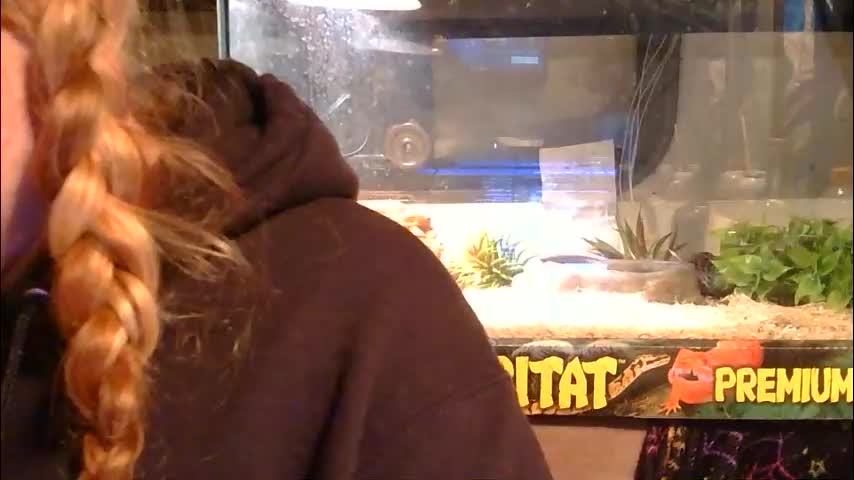 x2kayx2 Приват Записи 2026-01-28