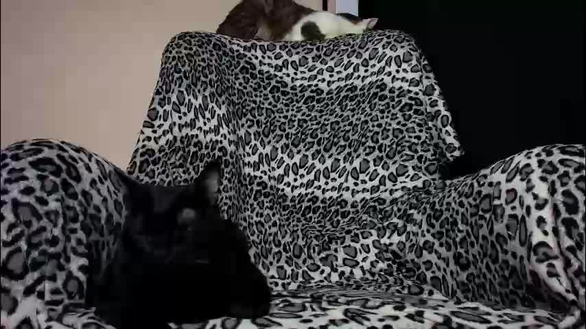 missslola Приват Записи 2026-01-28