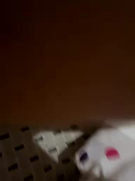 jopastayavika Приват Записи 2026-01-29