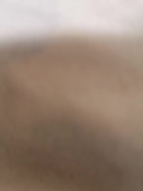 Nika0000 Приват Записи 2026-01-29