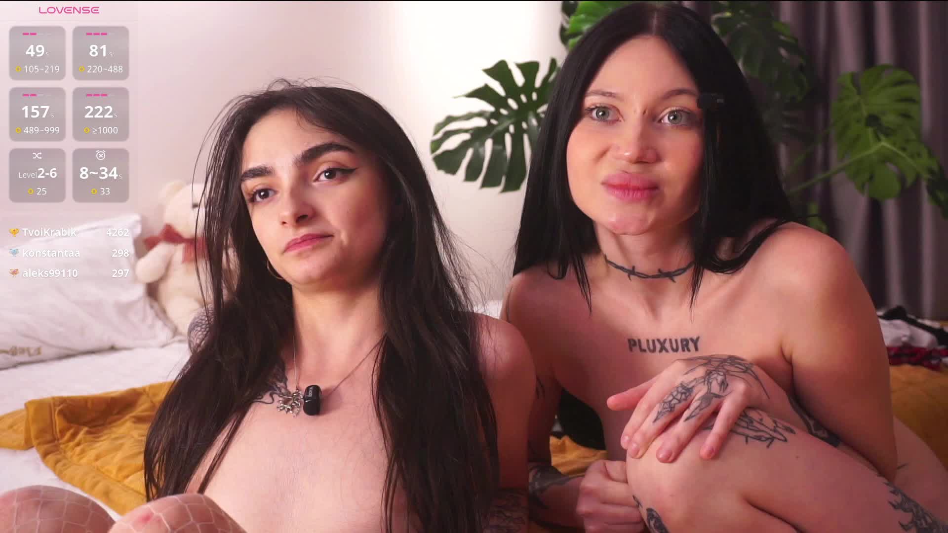 PLUXURY- Приват Записи 2026-01-29