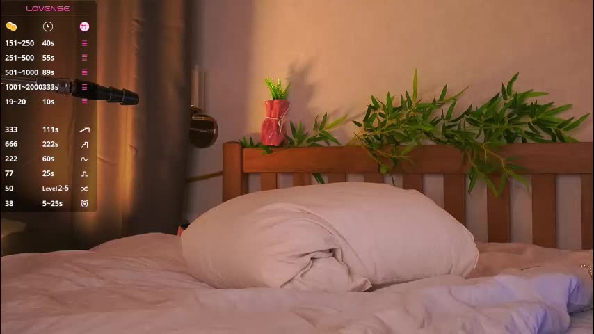 pafosstar Приват Записи 2026-01-29