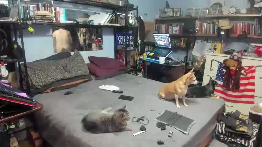 pink_black Приват Записи 2026-01-29