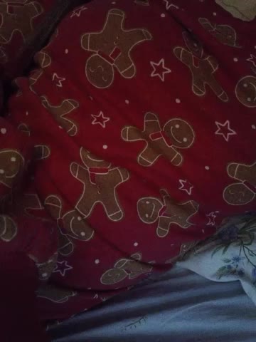 Monika-X Приват Записи 2026-01-29