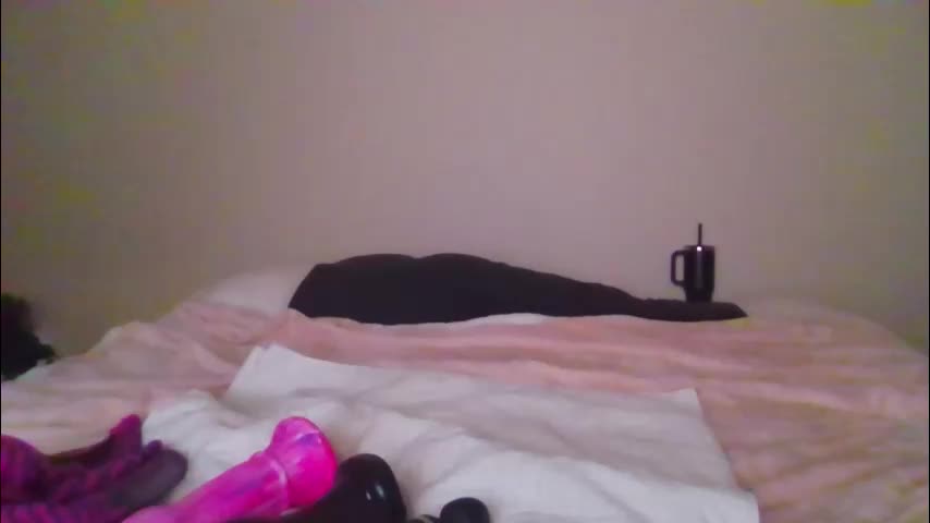 sdbeachfreaks Приват Записи 2026-01-29