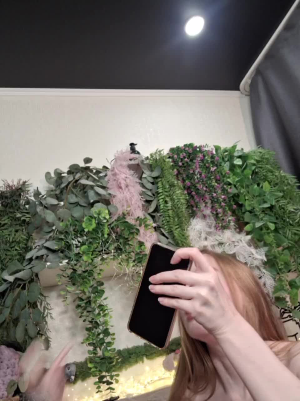 -scyrim- Приват Записи 2026-01-29