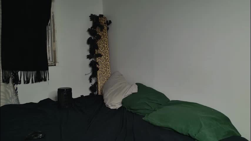 jackdesfeux Приват Записи 2026-01-29