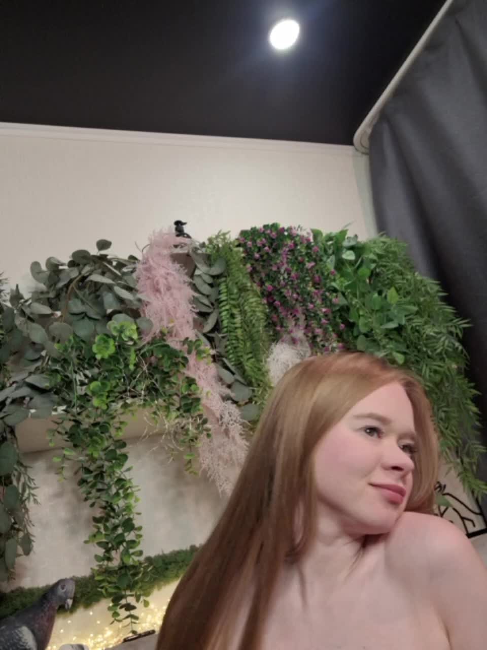 -scyrim- Приват Записи 2026-01-29