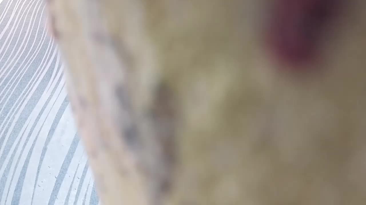 BlondieGirl Приват Записи 2026-01-29