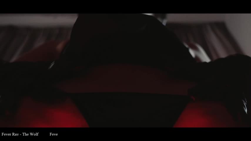 WebCora Приват Записи 2026-01-30