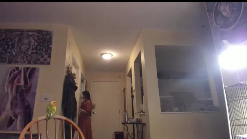 alizezaide Приват Записи 2026-01-30