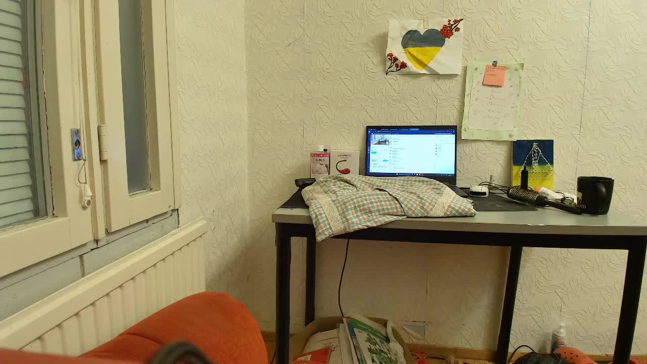 IrinaLitvinova Приват Записи 2026-01-30