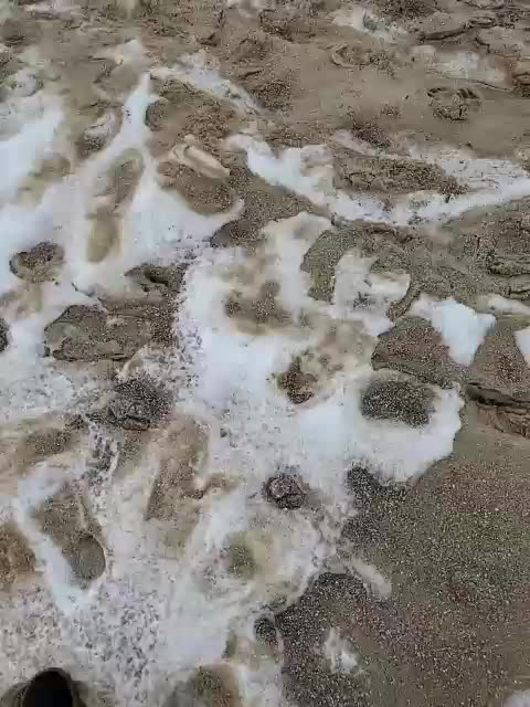 Alex80-201 Приват Записи 2026-01-31