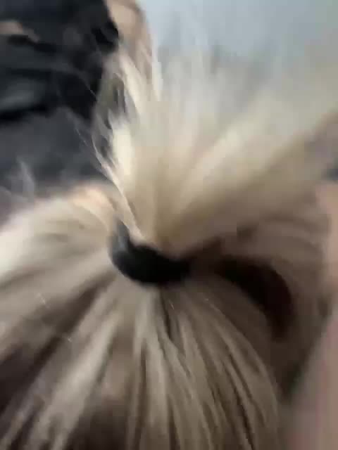 Perverse-family Приват Записи 2026-01-31