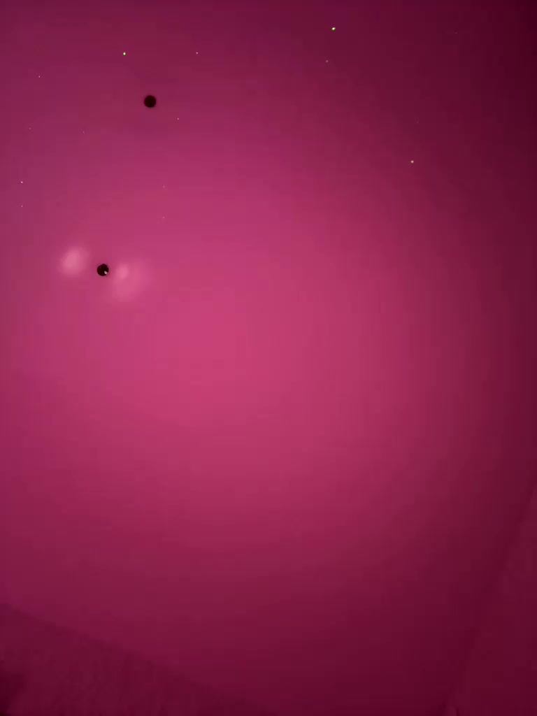 VIP17CoupleDream Приват Записи 2026-01-31