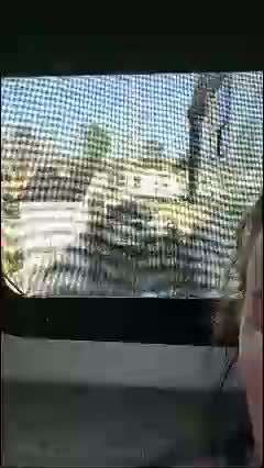 bmorganne420 Приват Записи 2026-01-30